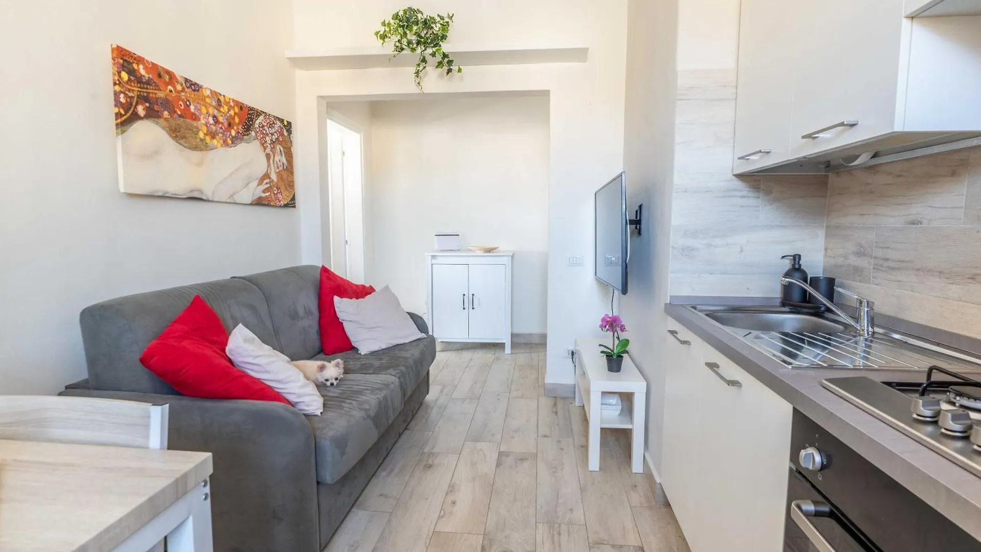 Apartment Windrose Venus Home Pisa